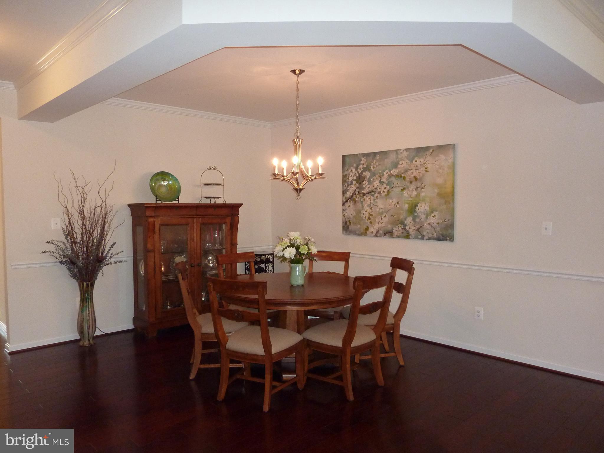 721 Cherry Tree Road Middletown, DE 19709 - Photo 5 of 39 Dining Room with Tray Ceiling