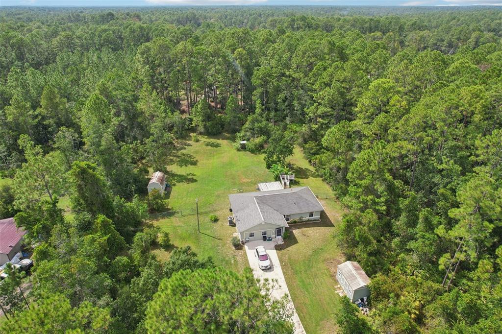 1594 Papaya Street Bunnell, FL 32110 - Photo 44 of 59