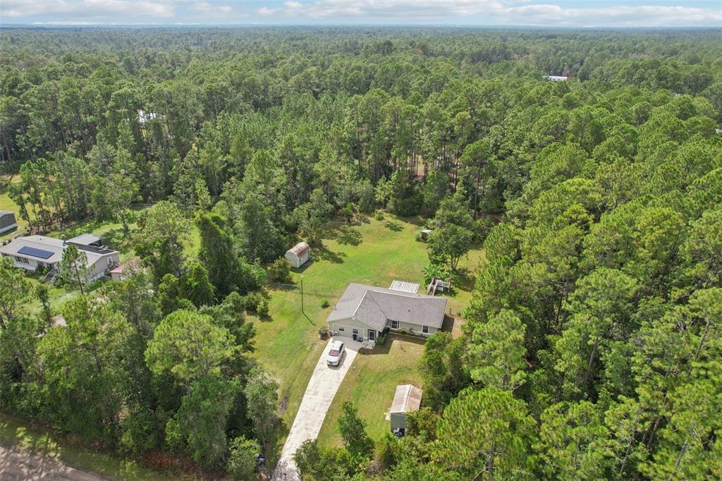 1594 Papaya Street Bunnell, FL 32110 - Photo 46 of 59