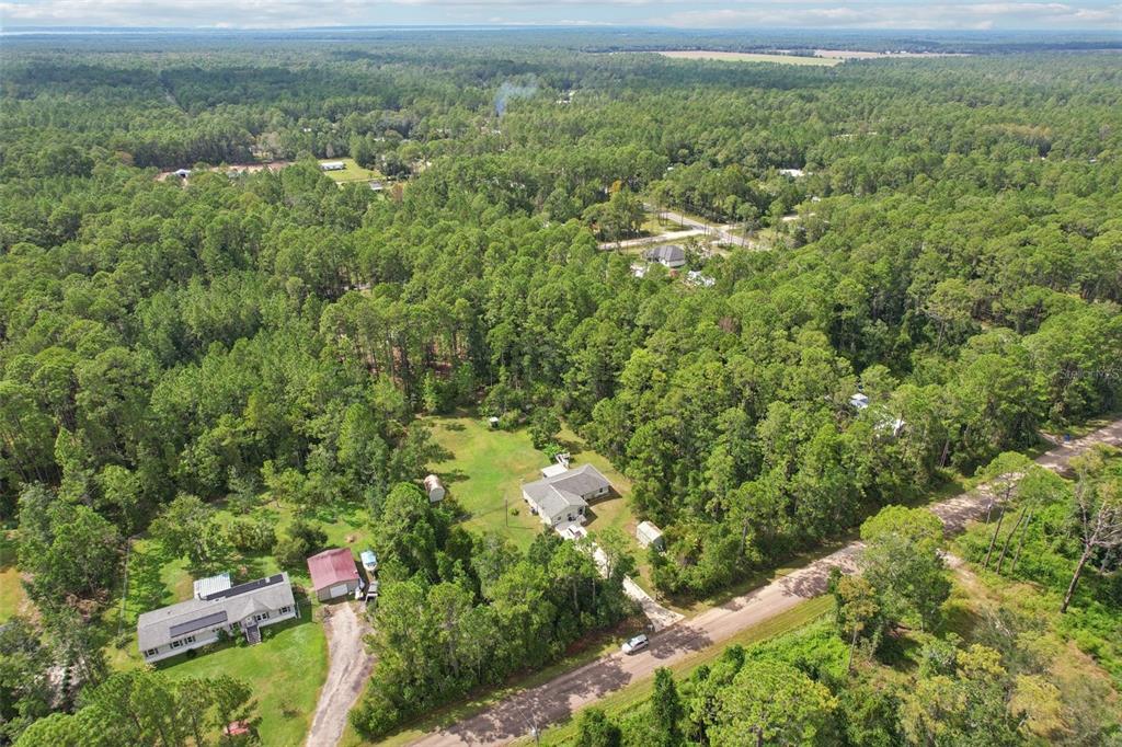 1594 Papaya Street Bunnell, FL 32110 - Photo 47 of 59