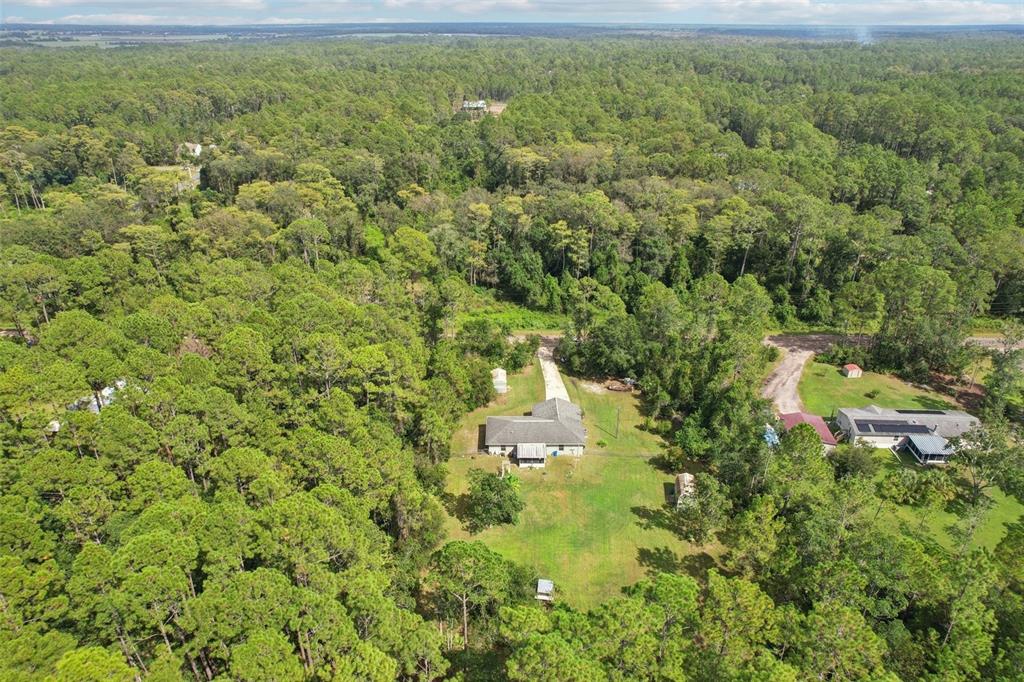 1594 Papaya Street Bunnell, FL 32110 - Photo 55 of 59