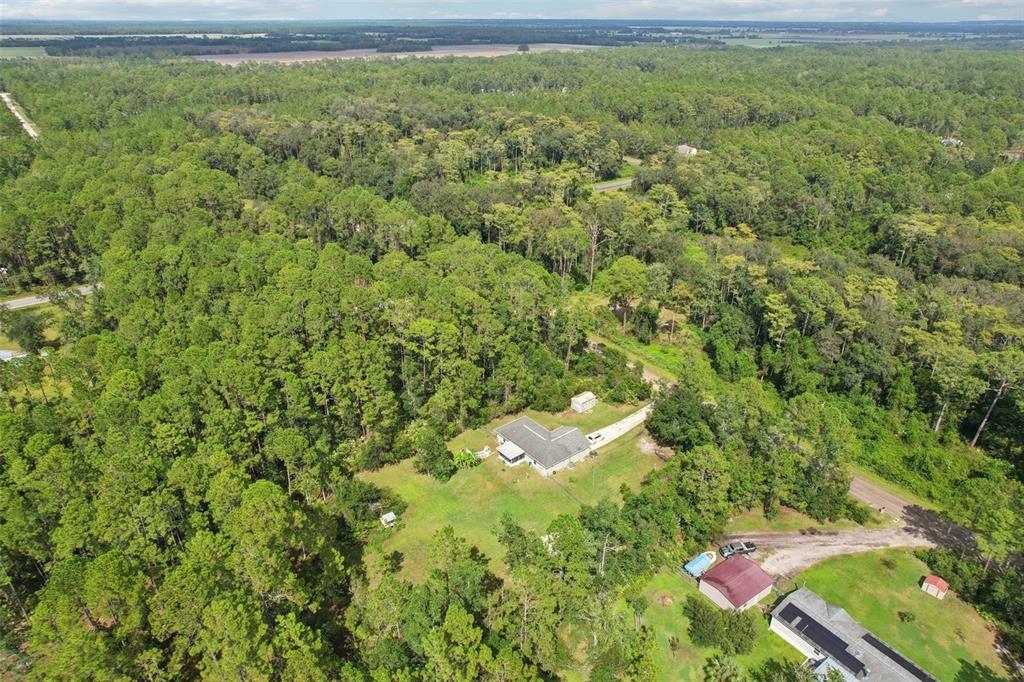 1594 Papaya Street Bunnell, FL 32110 - Photo 57 of 59