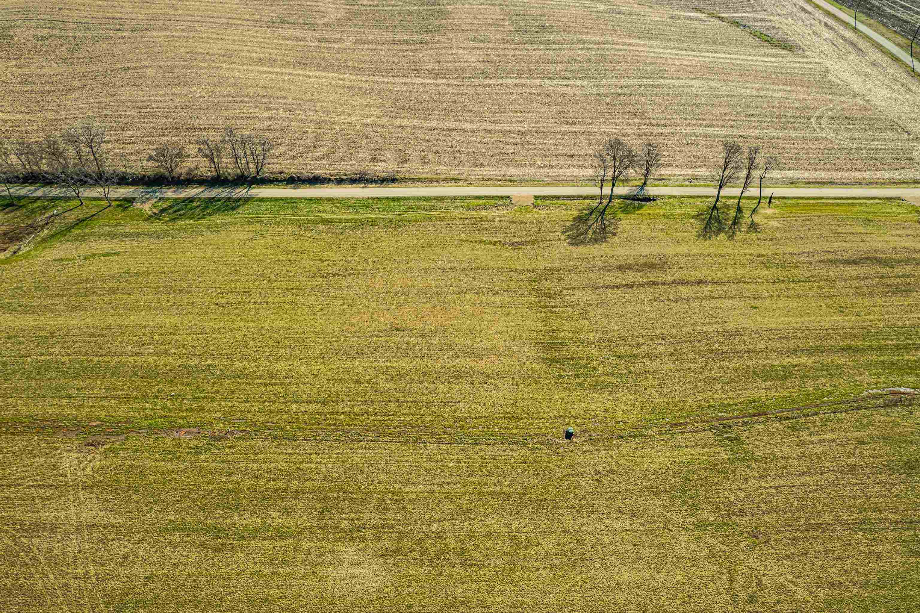 Lot 7 Jeffery Monroe, WI 53566 - Photo 9 of 14