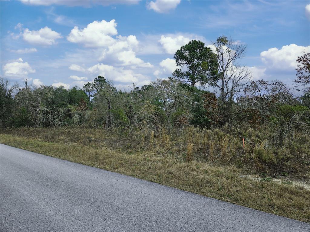 1281 Southwest Viburnum Road Dunnellon, FL 34431 - Photo 1 of 1 Gallery Image 1