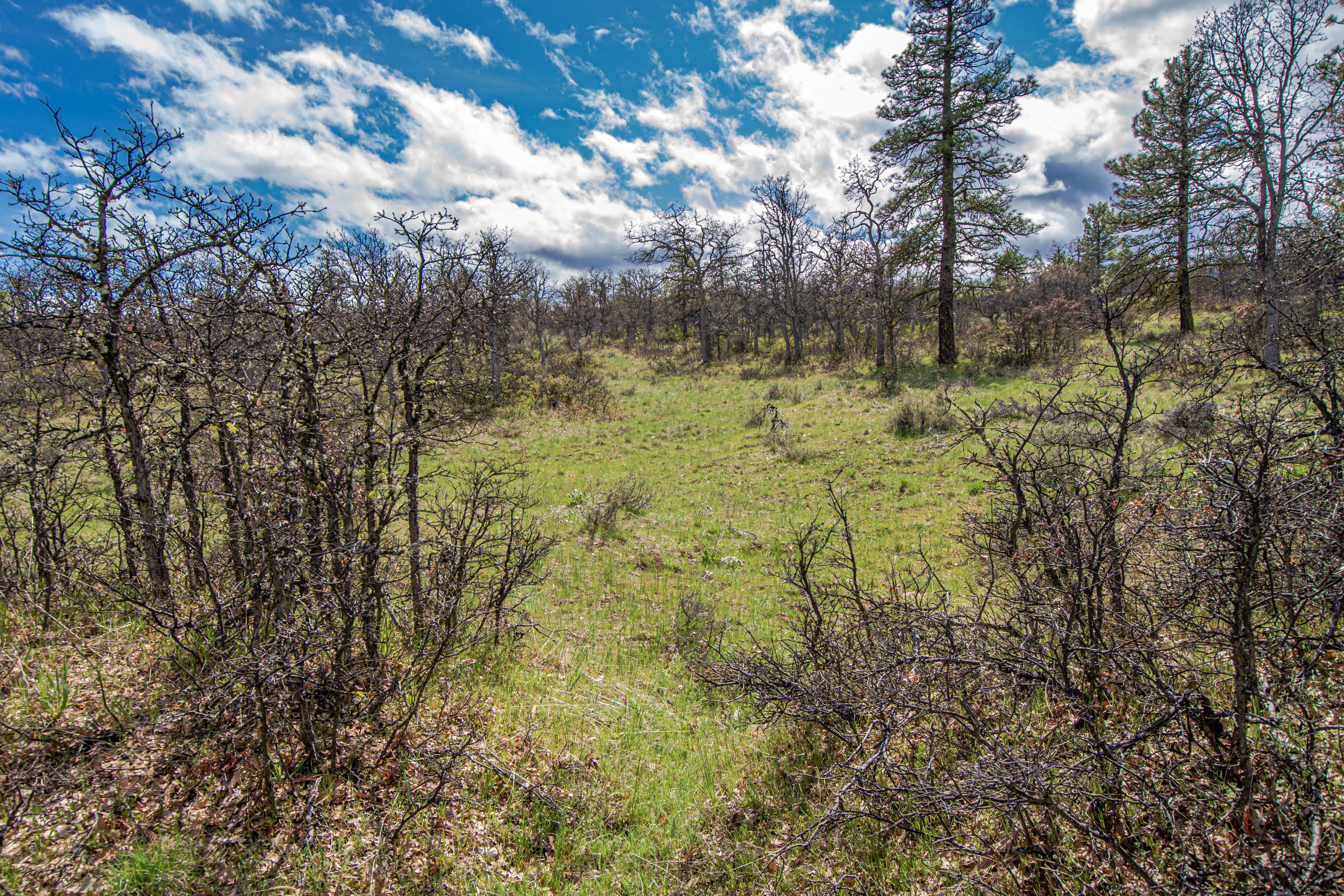 200 Jewell Road The Dalles, OR 97058 - Photo 19 of 25 WC - 19