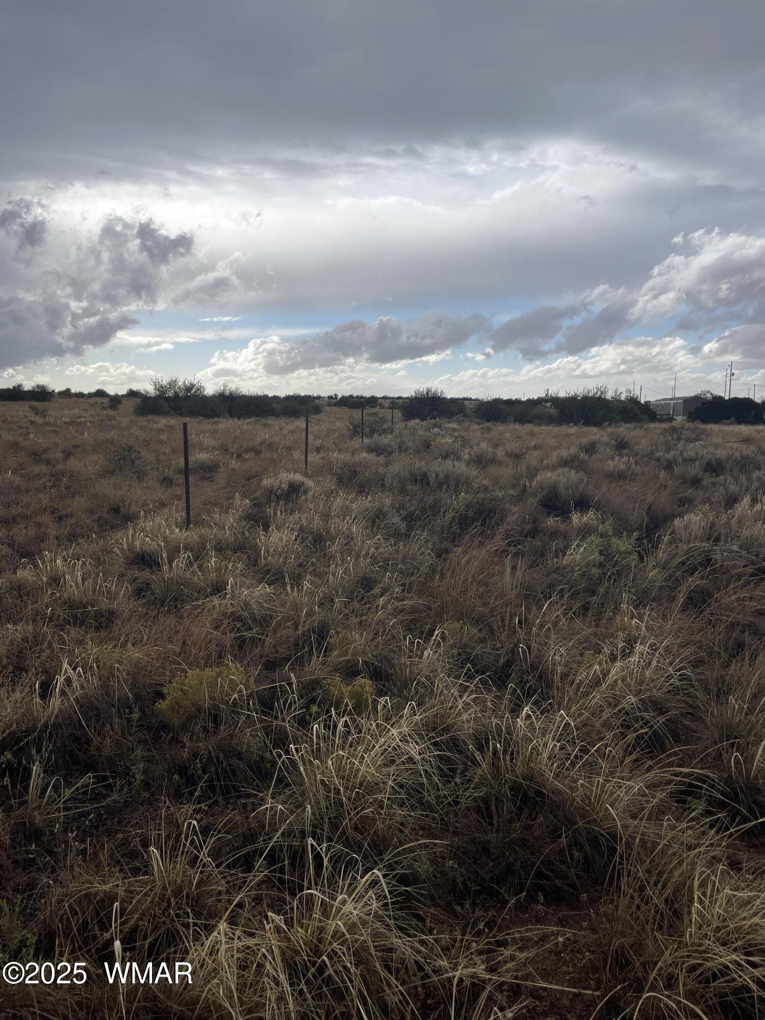 5499 State Route 277 Heber, AZ 85928 - Photo 12 of 15 IMG_2995
