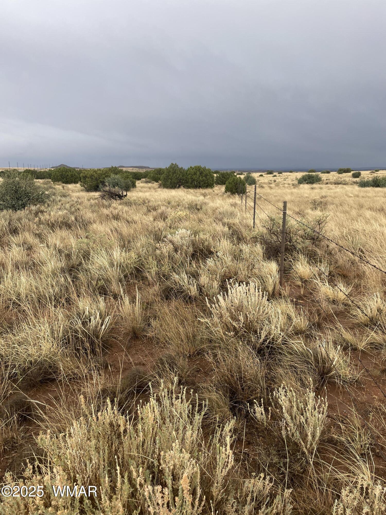 5499 State Route 277 Heber, AZ 85928 - Photo 13 of 15 IMG_2997
