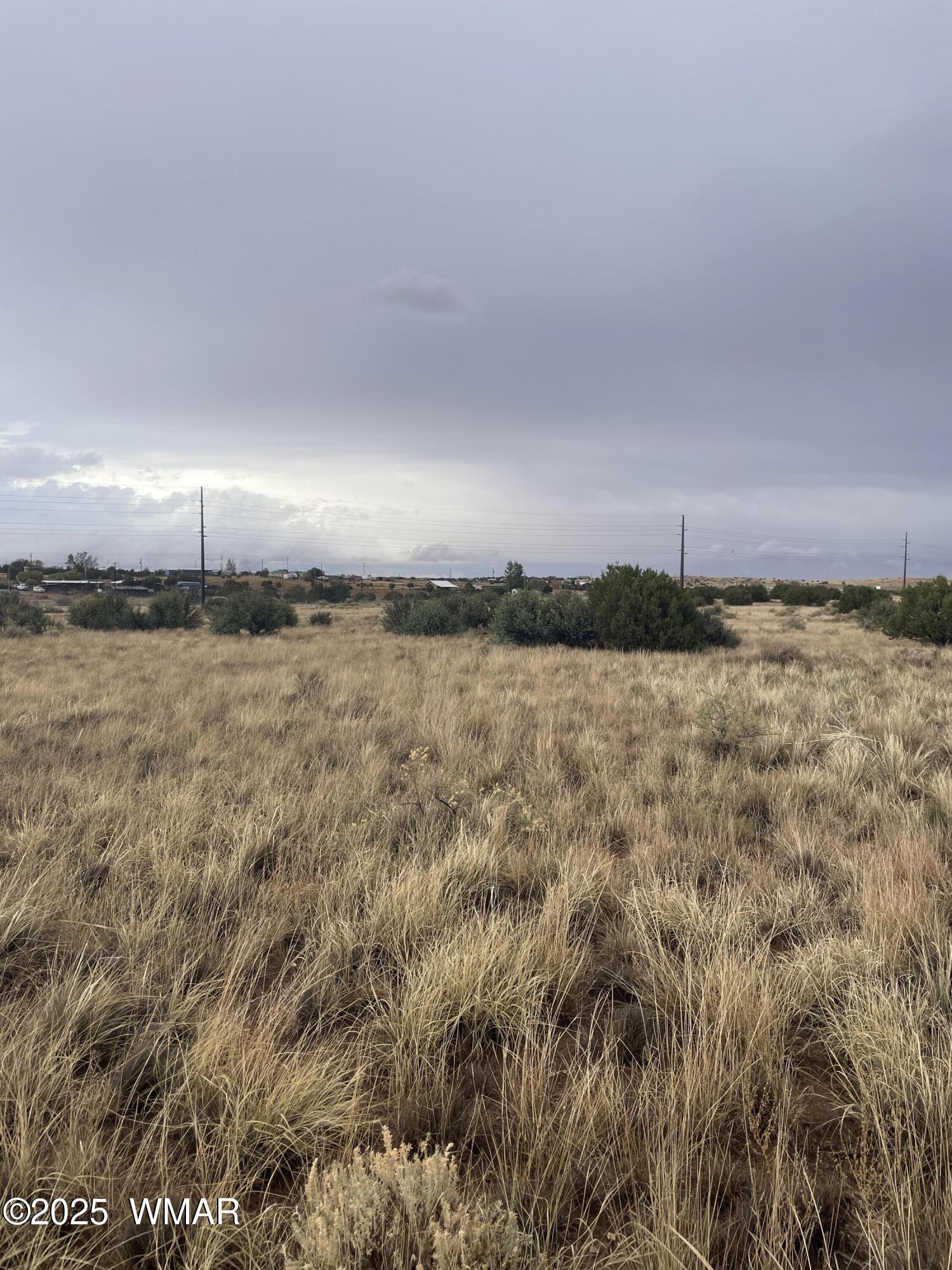 5499 State Route 277 Heber, AZ 85928 - Photo 15 of 15 IMG_2999