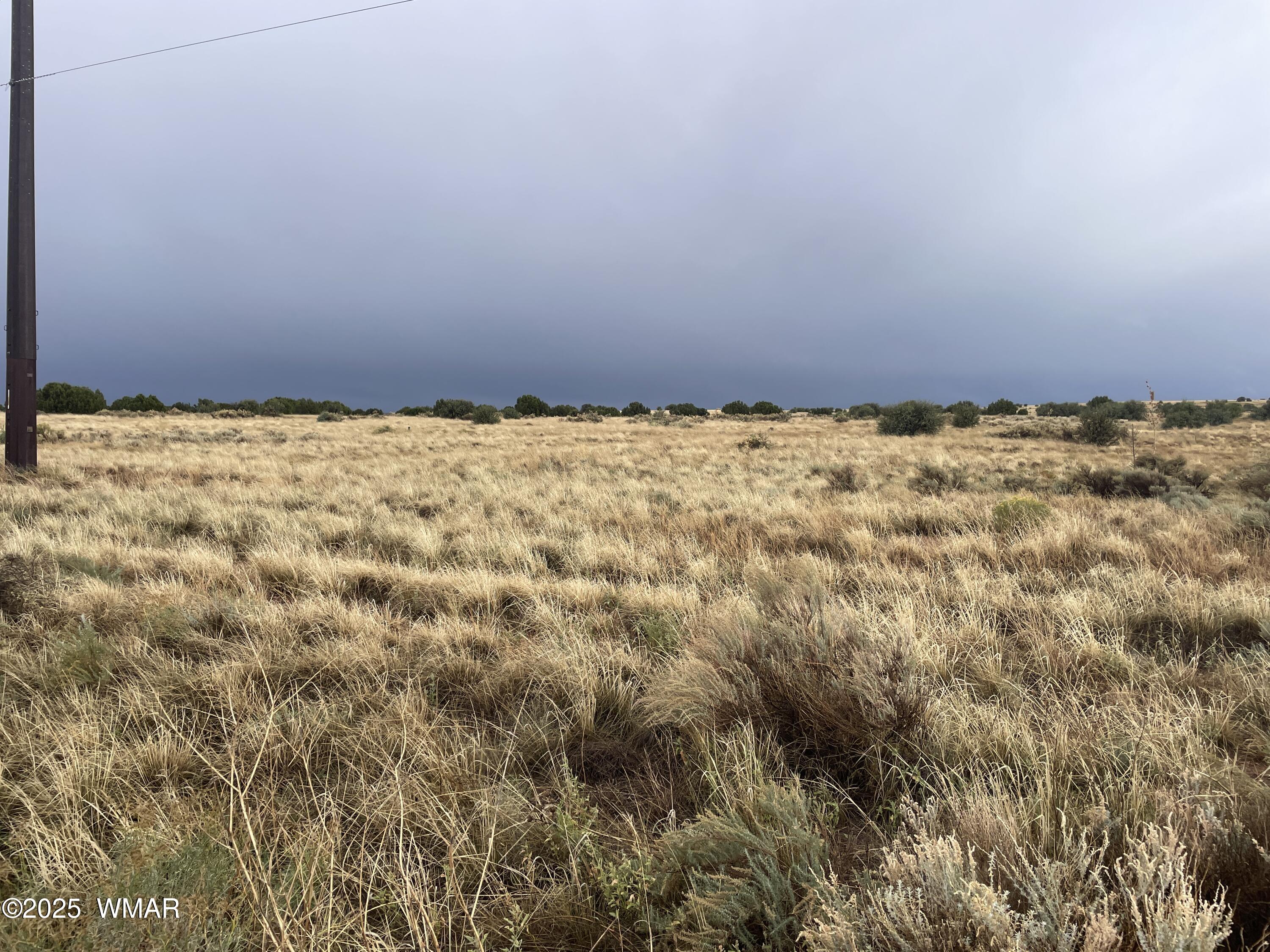 5499 State Route 277 Heber, AZ 85928 - Photo 2 of 15 IMG_2992