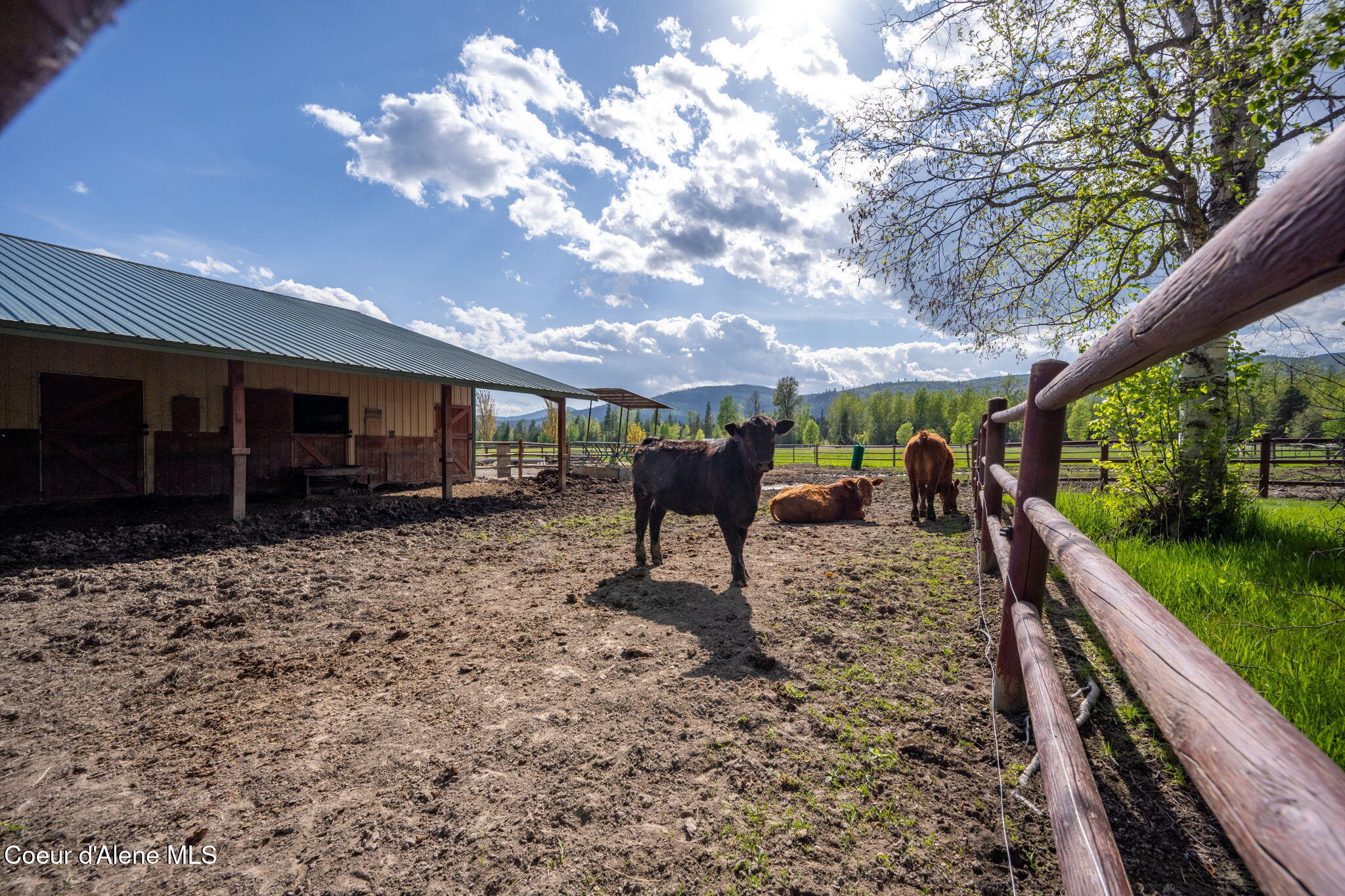 289 Gold Road Naples, ID 83847 - Photo 10 of 113 Shop/horse barn