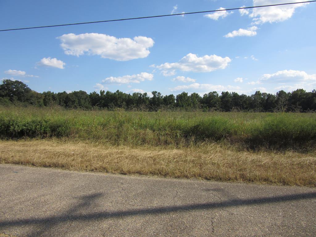 0 Baxter Road Webb, AL 36376 - Photo 2 of 8