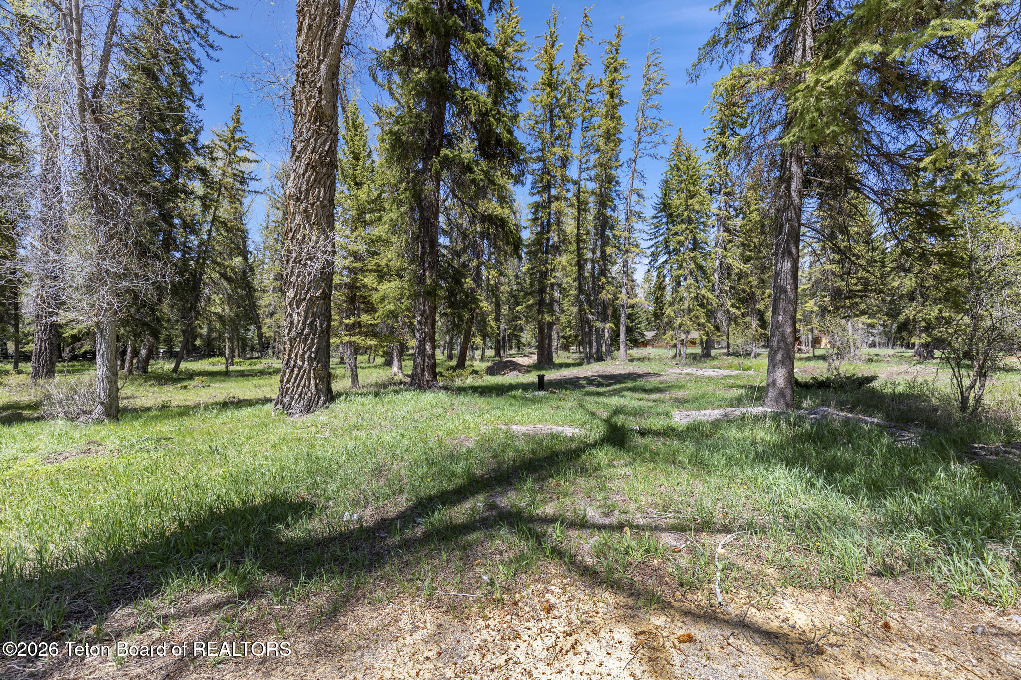 455 East Buck Mountain Road Jackson, WY 83001 - Photo 23 of 27 Land