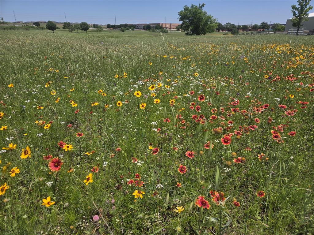 Tbd Savanna Drive Rhome, TX 76078 - Photo 9 of 12