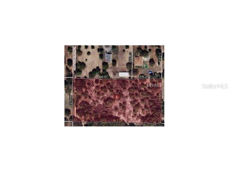 Jim Scotts Road Leesburg, FL 34788 - Photo 1 of 1 Gallery Image 1
