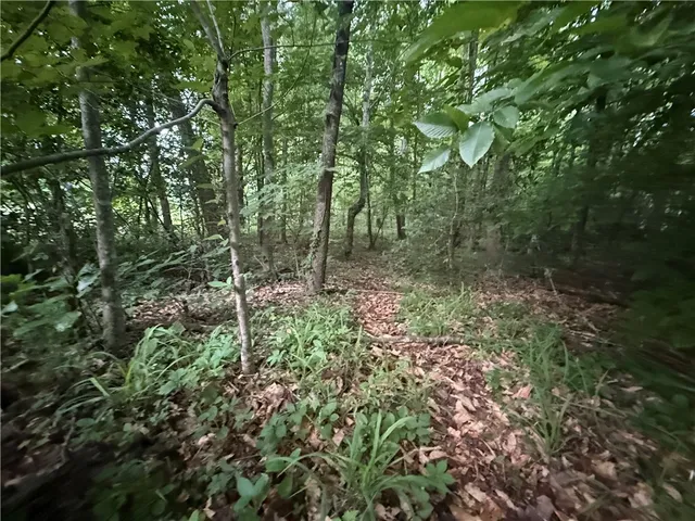 $323,000 | 128 Willys Creek Circle, Pickens, SC 29671