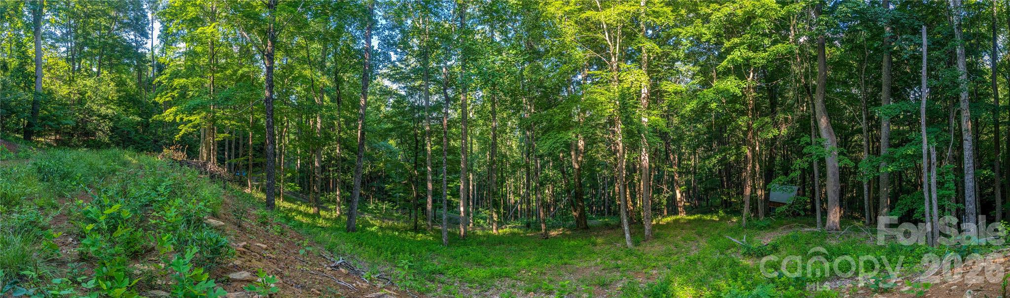0 Amber Ranches, Unit 47 Bakersville, NC 28705 - Photo 11 of 18
