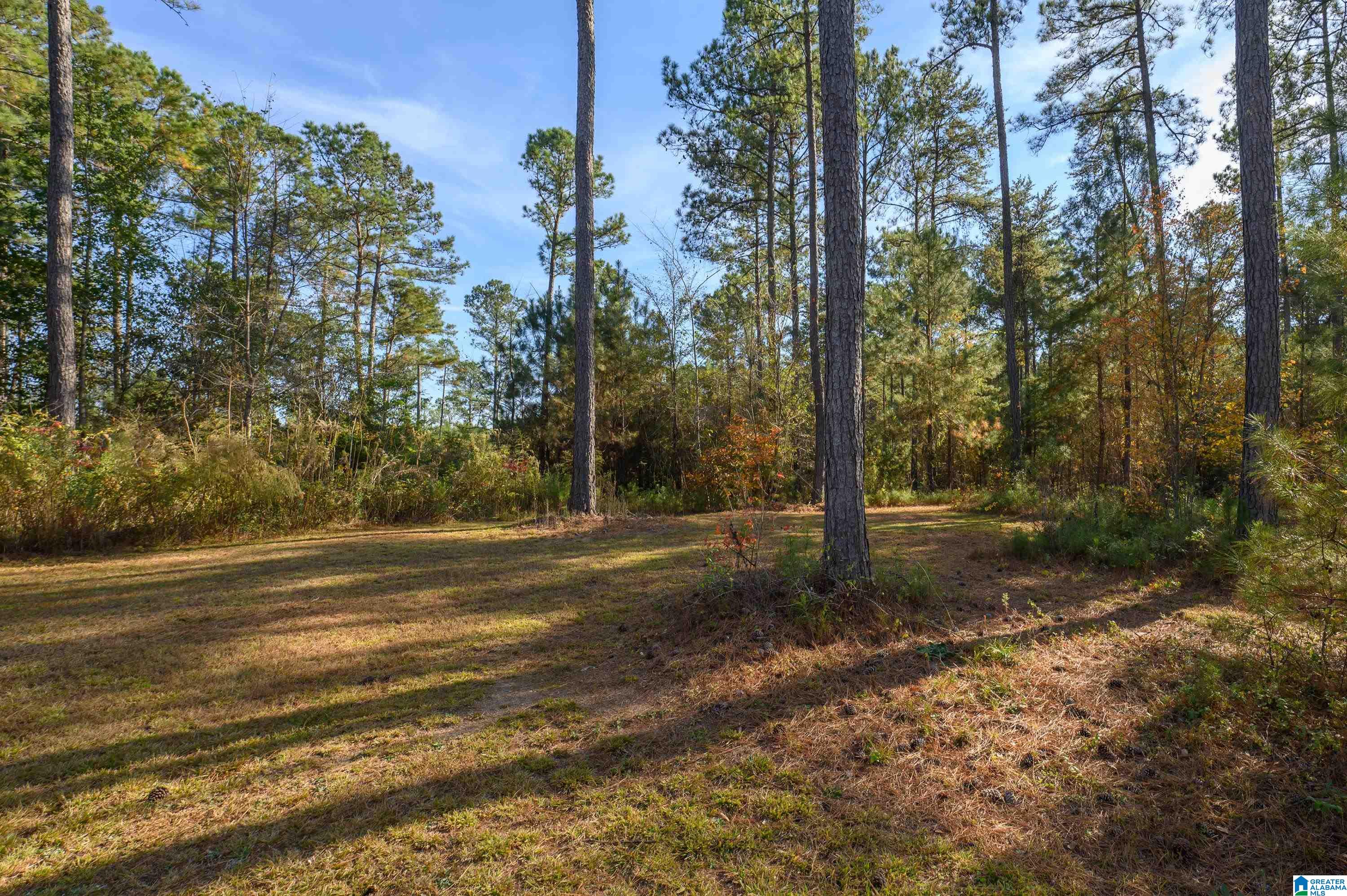 203 Gould Road Columbiana, AL 35051 - Photo 40 of 56