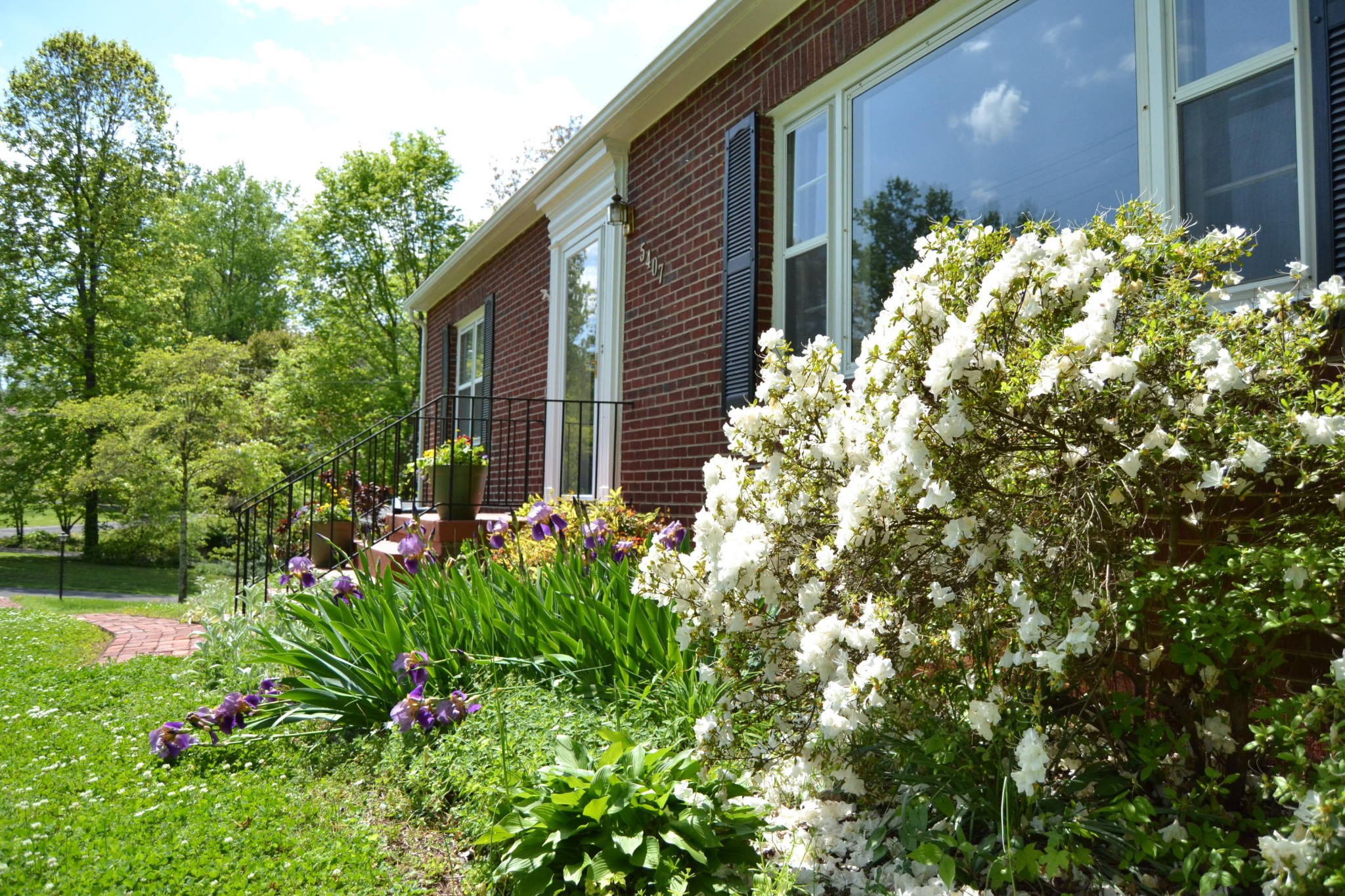 5407 East Sunset Road Knoxville, TN 37914 - Photo 6 of 37 Gallery Image 6