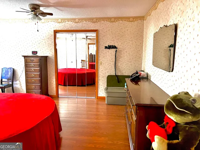 a view of a space with palm trees and a big yard