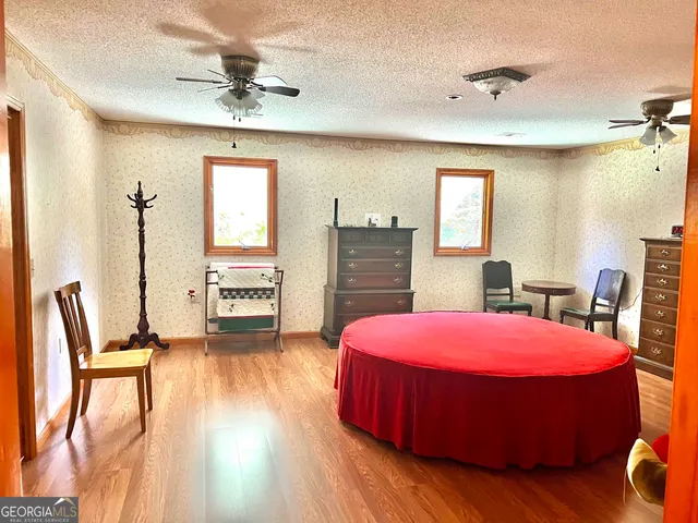 a view of a yard with large trees