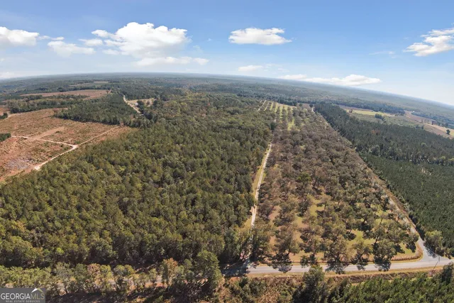 $825,000 | 2382 Gallimore Mill Road, Jeffersonville, GA 31044