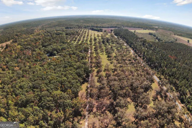 $825,000 | 2382 Gallimore Mill Road, Jeffersonville, GA 31044