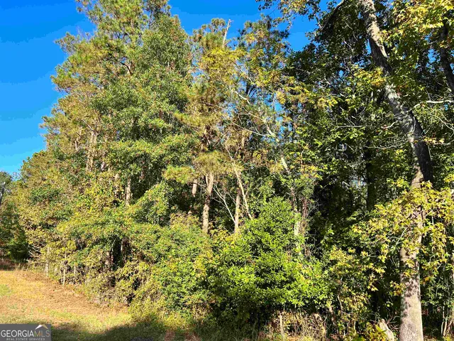 $825,000 | 2382 Gallimore Mill Road, Jeffersonville, GA 31044