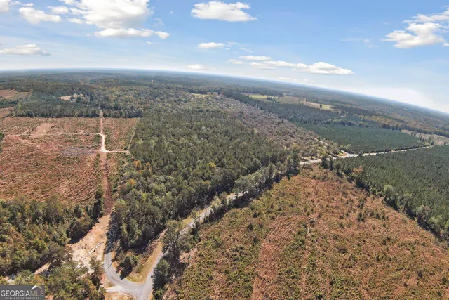 $825,000 | 2382 Gallimore Mill Road, Jeffersonville, GA 31044