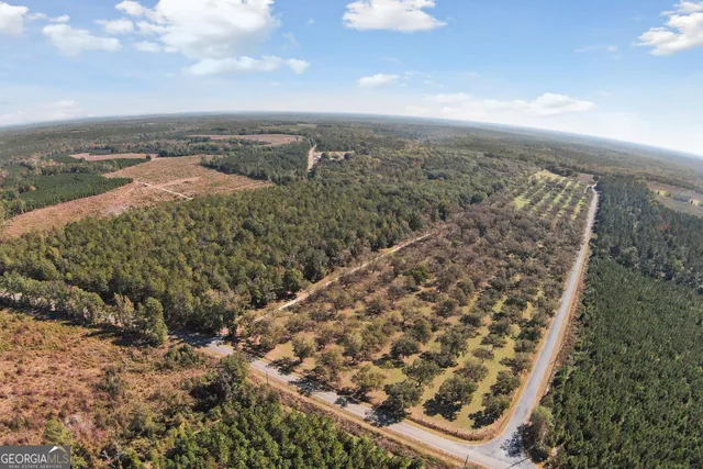 $825,000 | 2382 Gallimore Mill Road, Jeffersonville, GA 31044