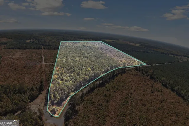 $825,000 | 2382 Gallimore Mill Road, Jeffersonville, GA 31044