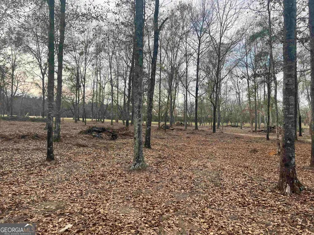 $825,000 | 2382 Gallimore Mill Road, Jeffersonville, GA 31044