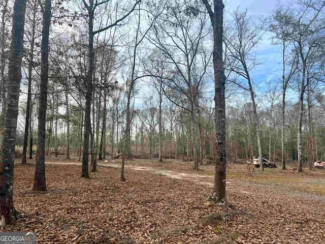 $825,000 | 2382 Gallimore Mill Road, Jeffersonville, GA 31044