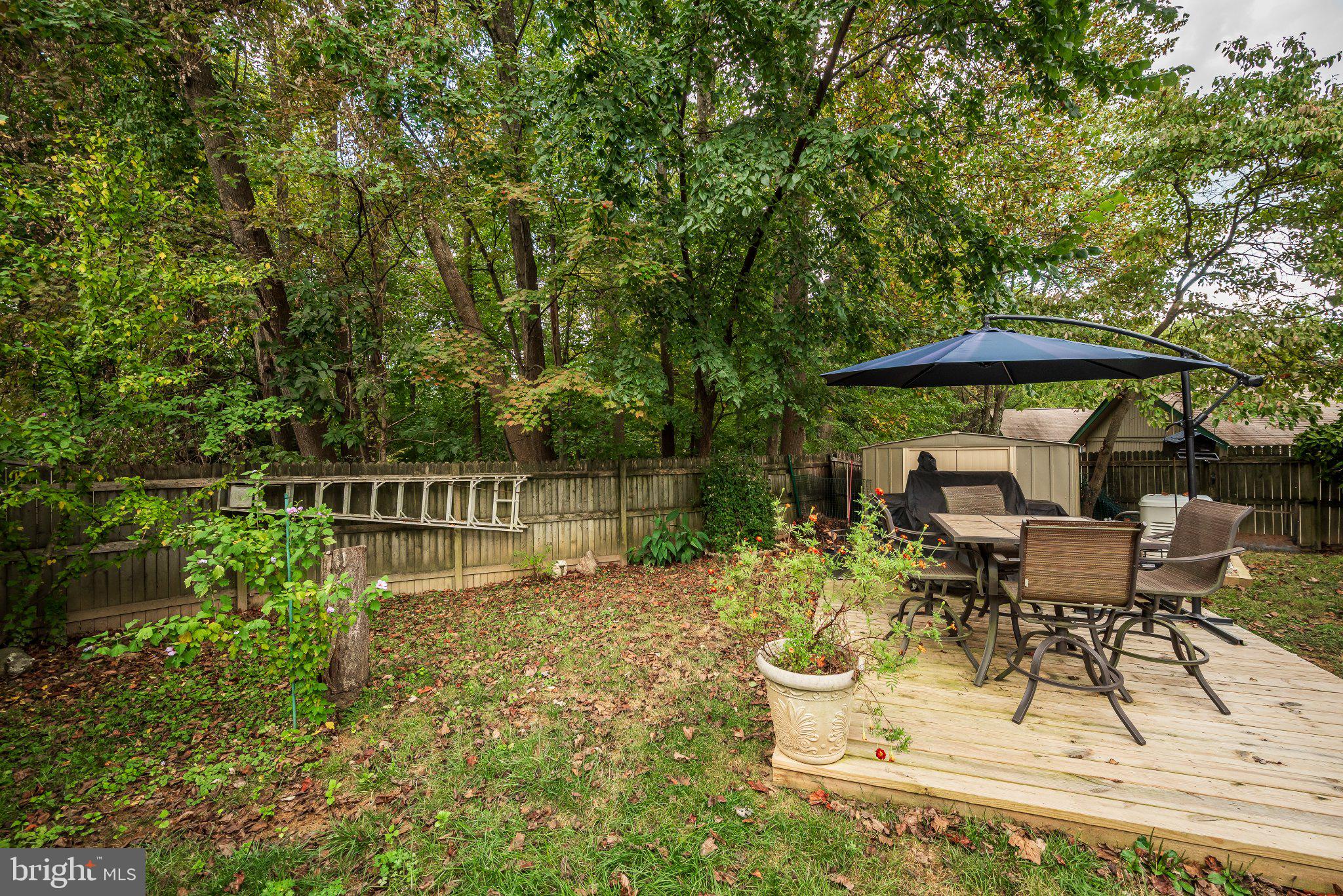 11 Aquarius Court Silver Spring, MD 20906 - Photo 18 of 49 Serene backyard retreat with shade.
