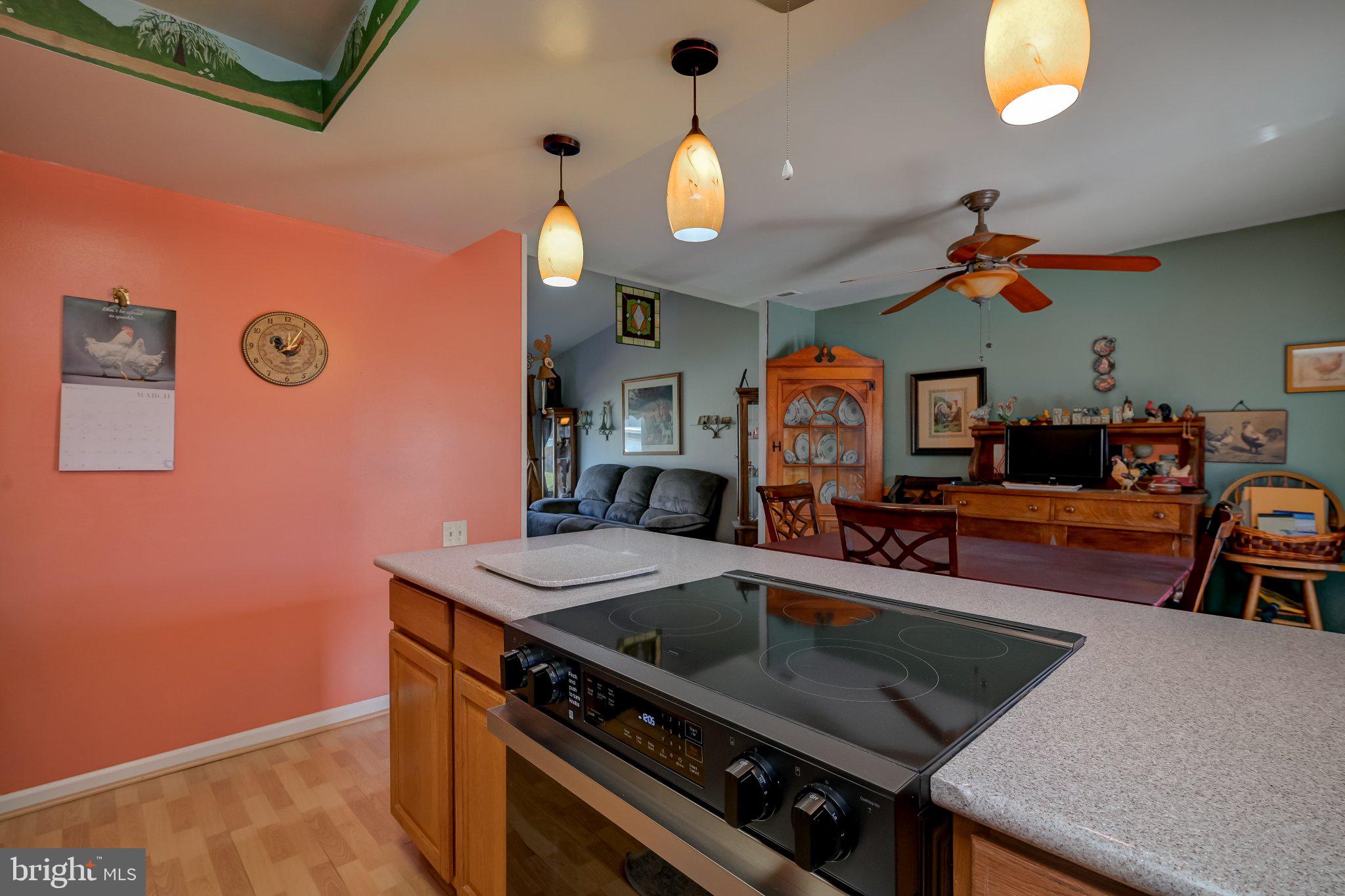 11 Aquarius Court Silver Spring, MD 20906 - Photo 26 of 49 Charming kitchen with vibrant hues.