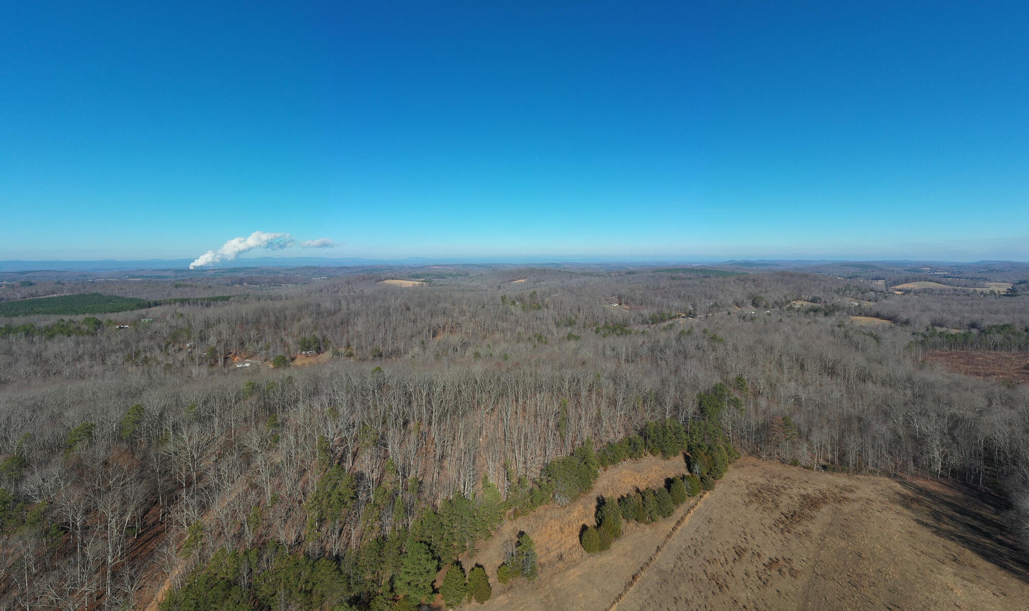 2164 Co Road Decatur, TN 37322 - Photo 51 of 53