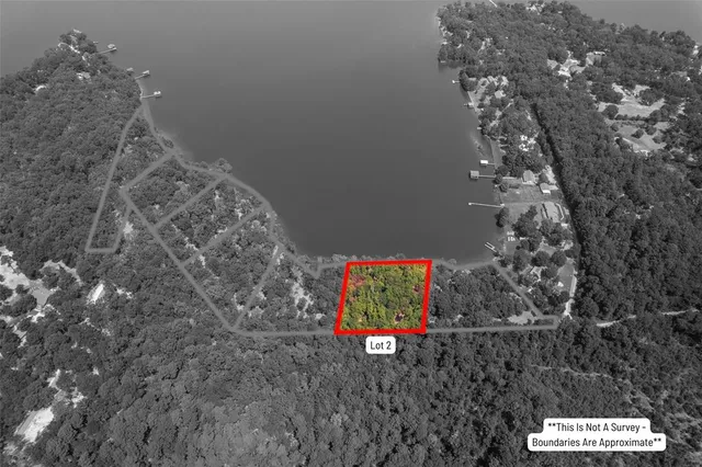 a picture of a tree in a room