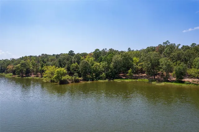 a view of a lake with houses in the back