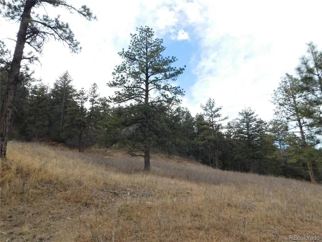 a view of a covered with trees in the background
