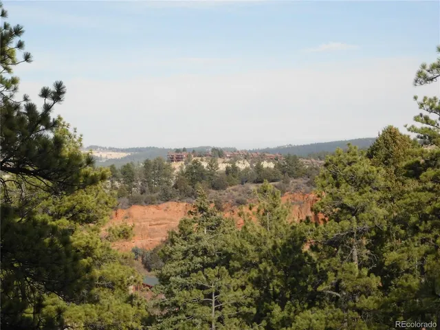a view of a forest with trees in the background