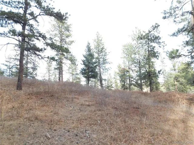 a view of a dirt road with trees in the background