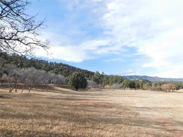 a view of a yard with a mountain view