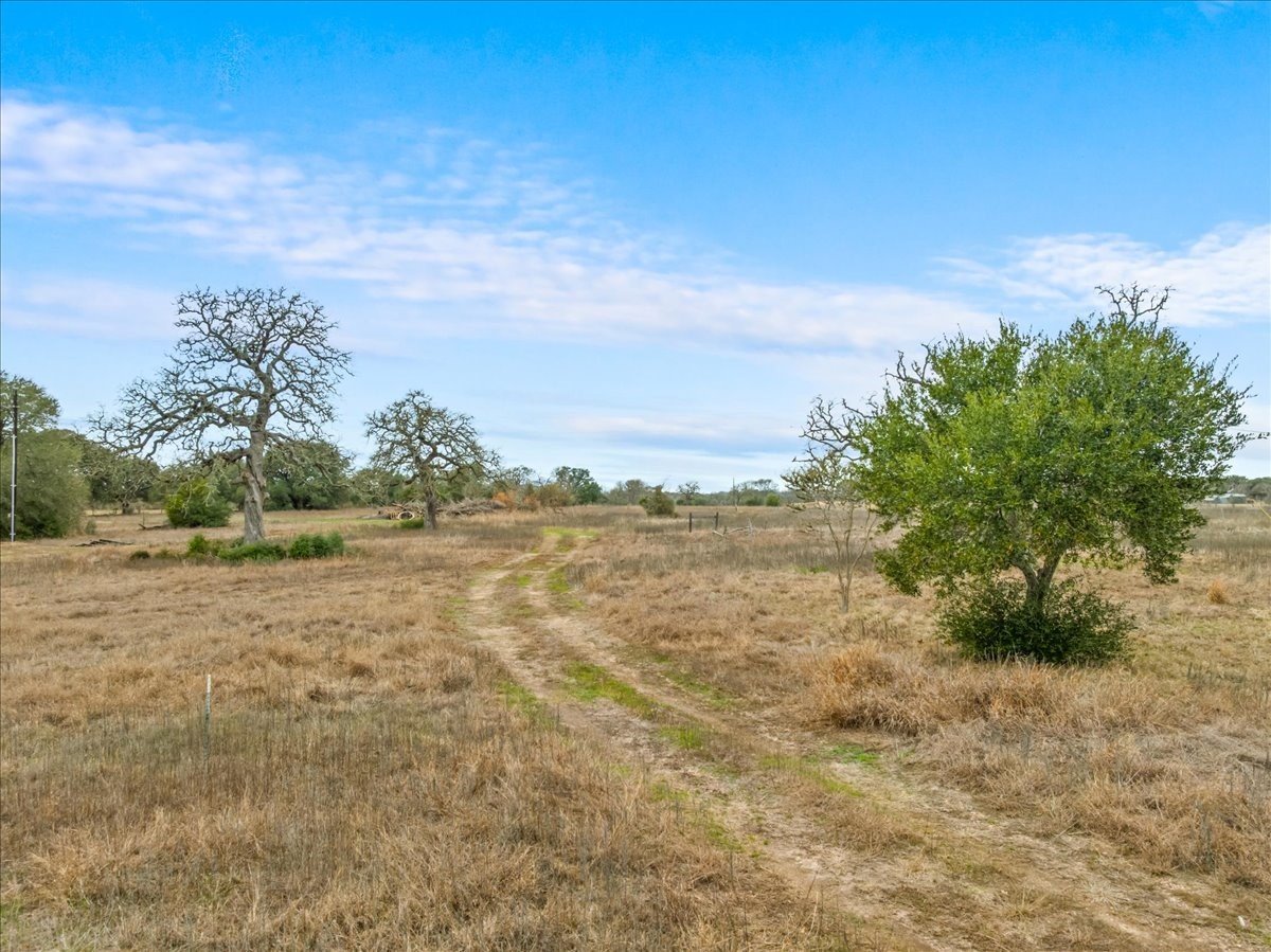524 Hackemack Road Round Top, TX 78954 - Photo 7 of 20