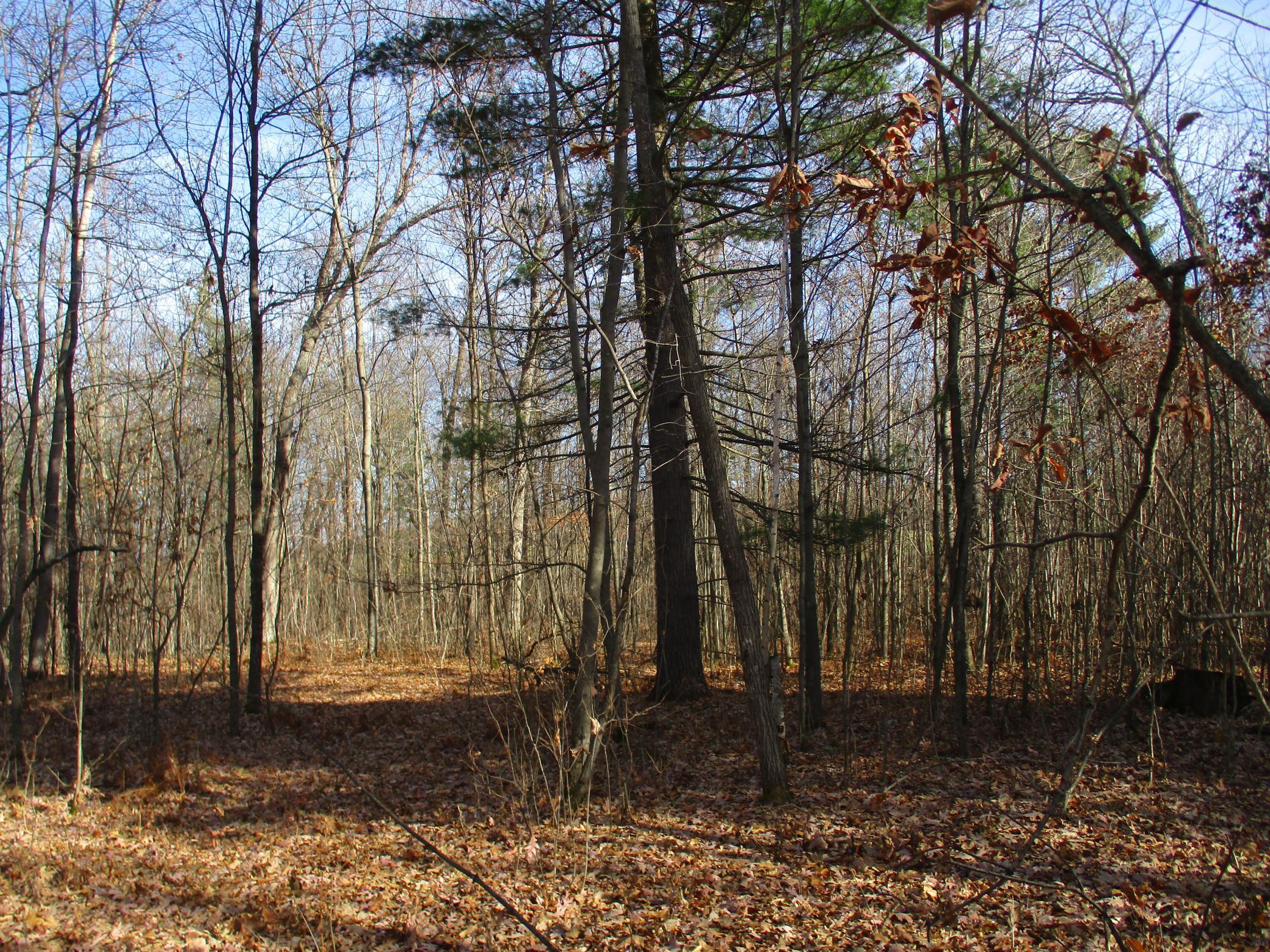 0 Say Hi Road Springbrook, WI 54875 - Photo 15 of 27