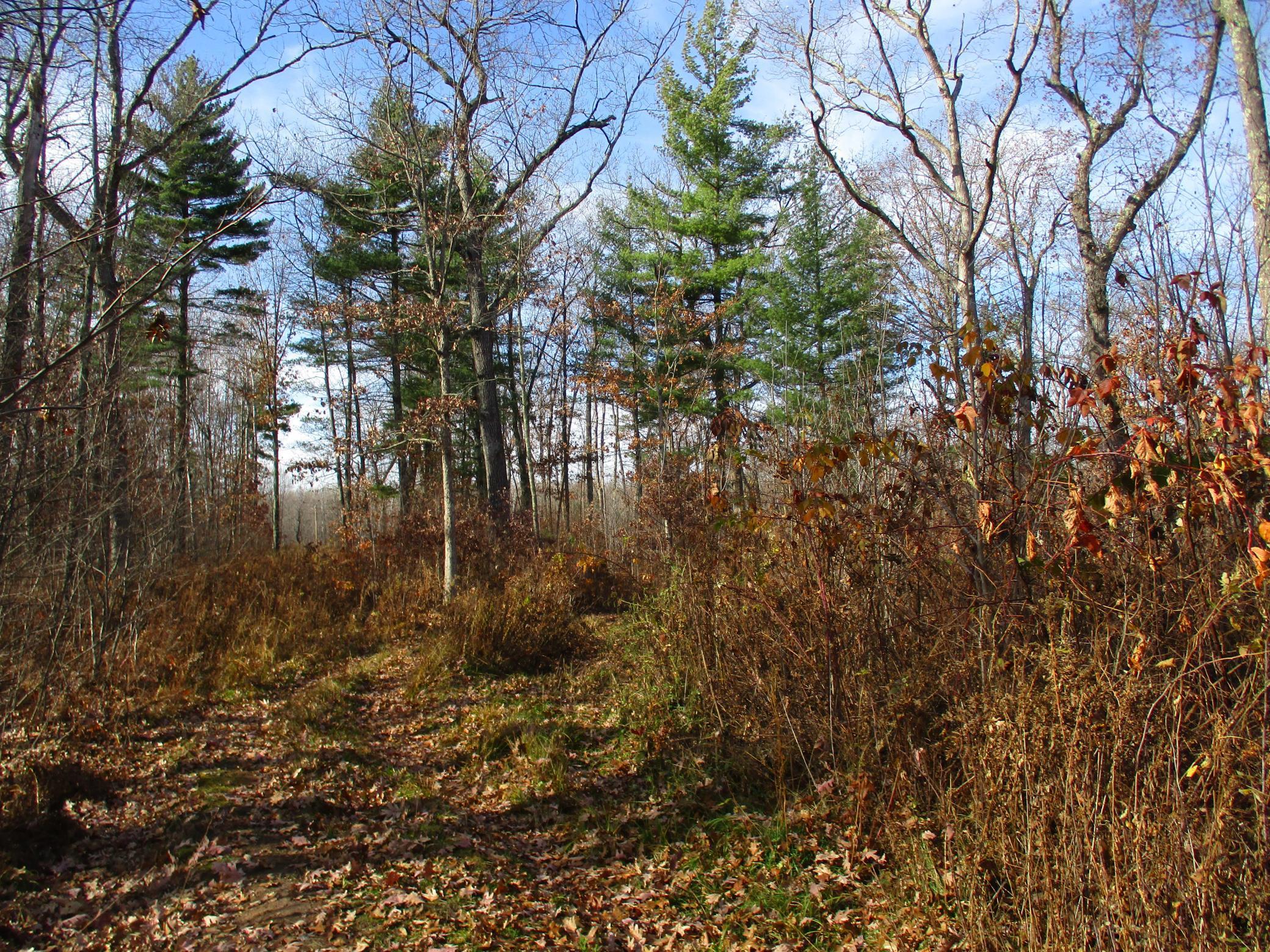 0 Say Hi Road Springbrook, WI 54875 - Photo 17 of 27