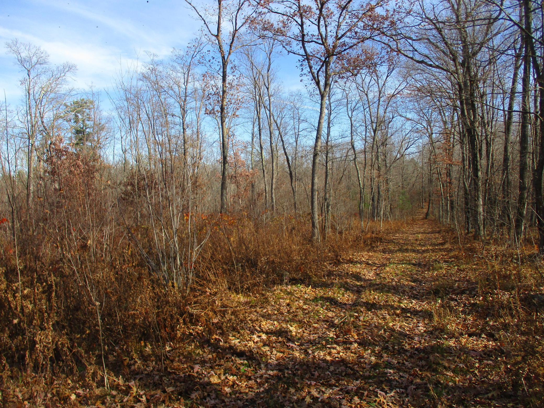 0 Say Hi Road Springbrook, WI 54875 - Photo 18 of 27