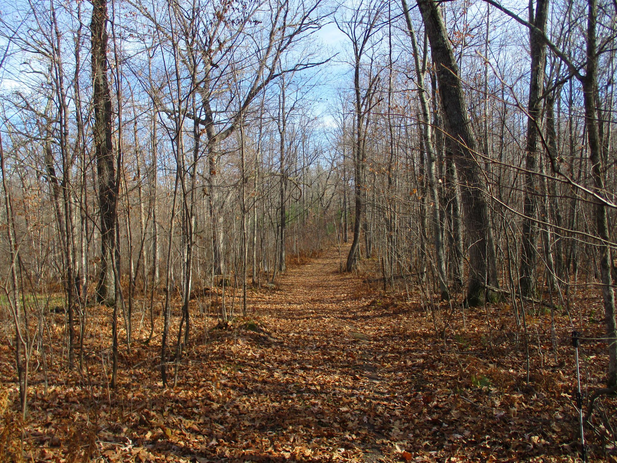 0 Say Hi Road Springbrook, WI 54875 - Photo 21 of 27