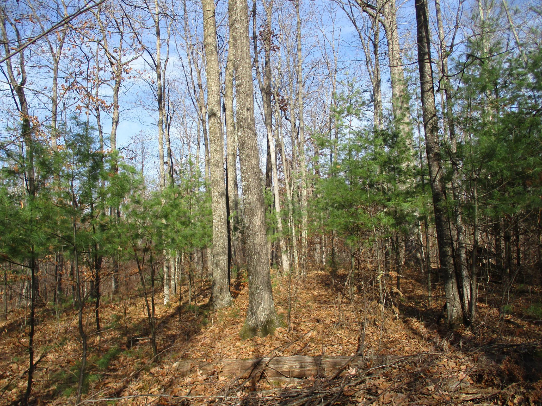 0 Say Hi Road Springbrook, WI 54875 - Photo 22 of 27