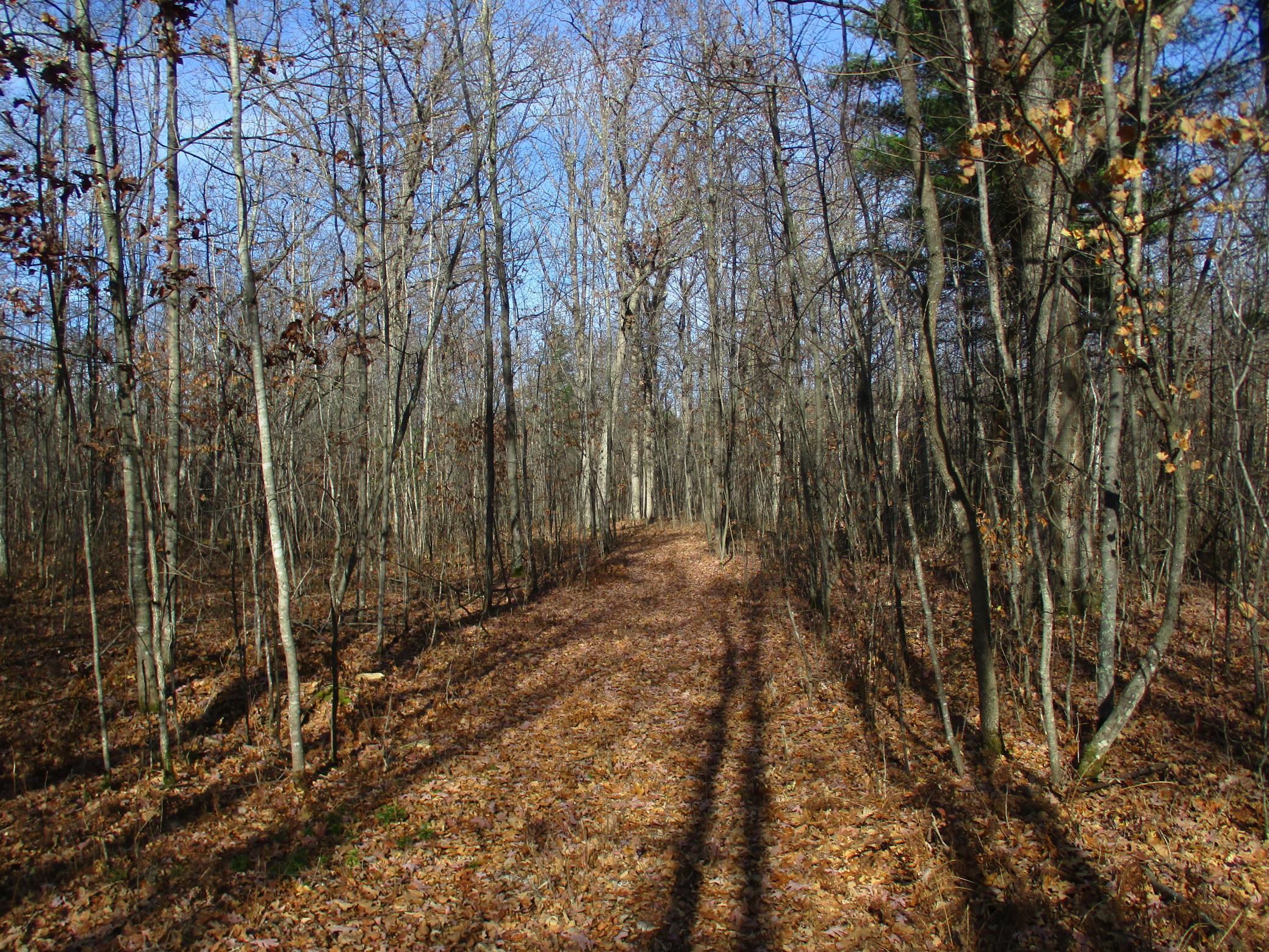 0 Say Hi Road Springbrook, WI 54875 - Photo 23 of 27