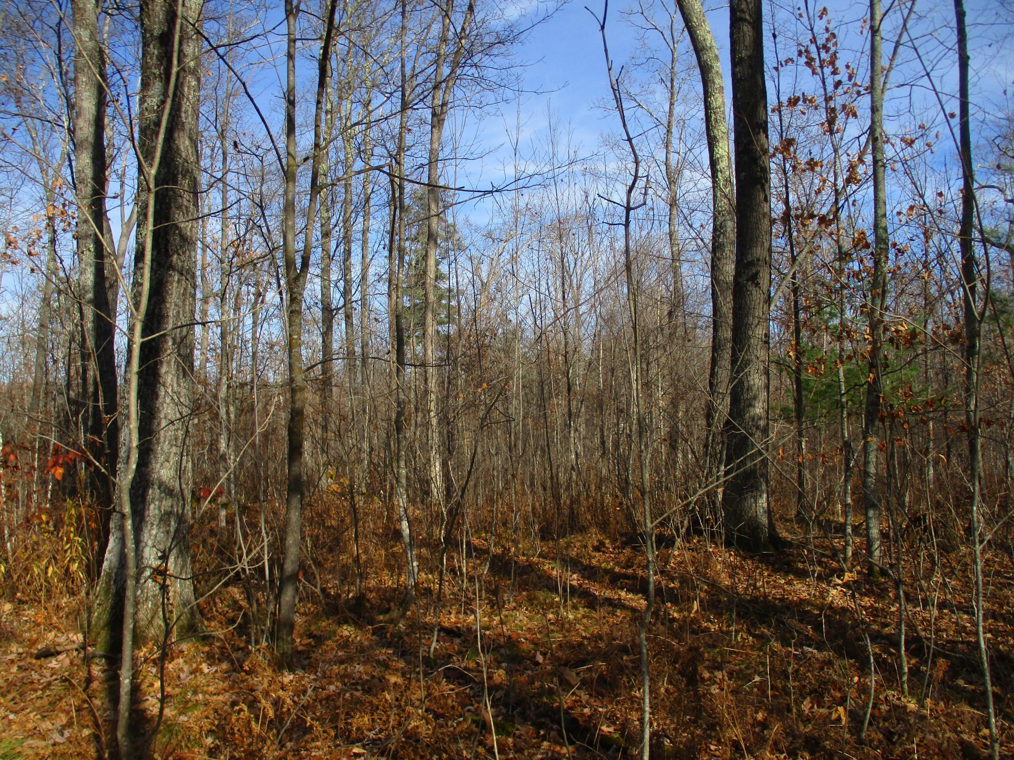 0 Say Hi Road Springbrook, WI 54875 - Photo 24 of 27