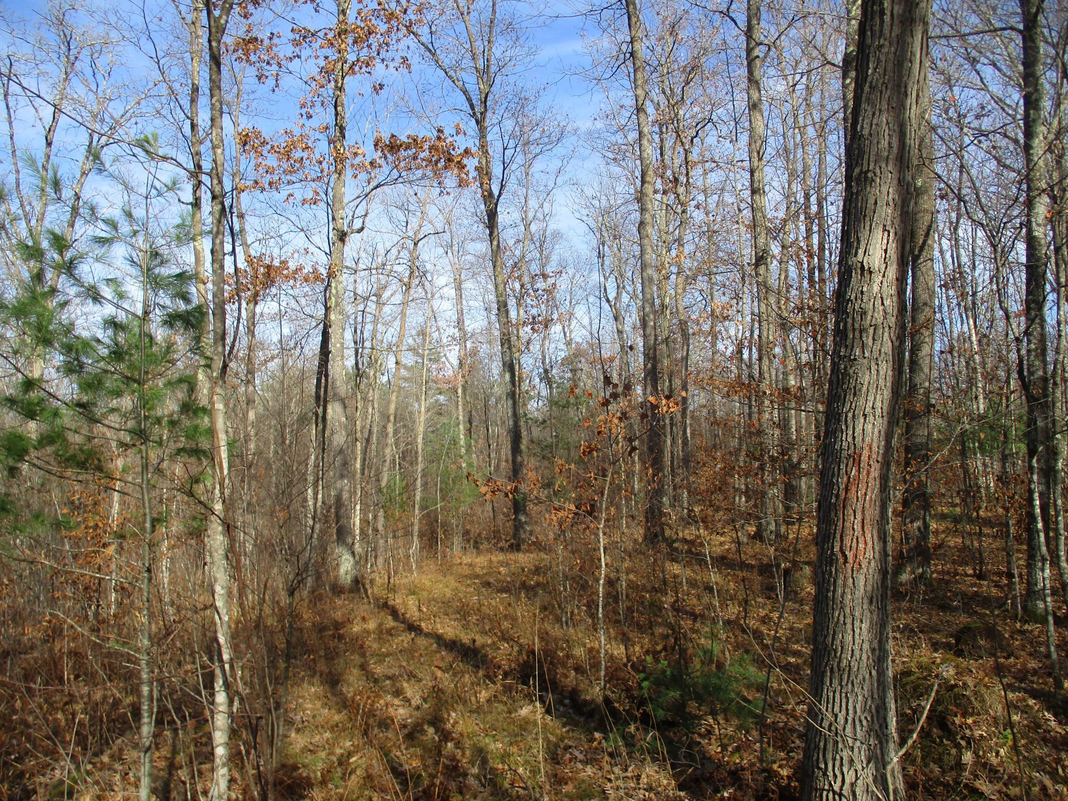 0 Say Hi Road Springbrook, WI 54875 - Photo 25 of 27